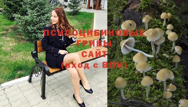 spice Балабаново