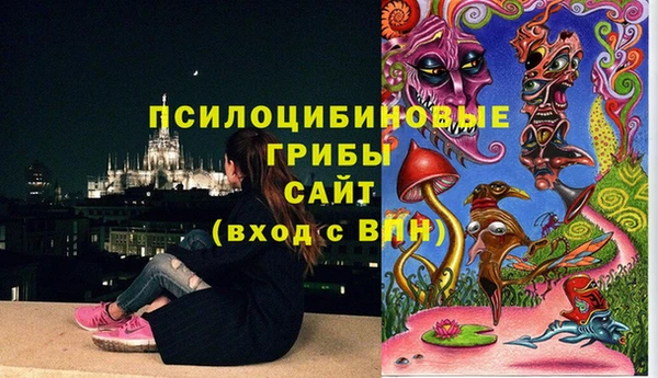 ешки Балахна