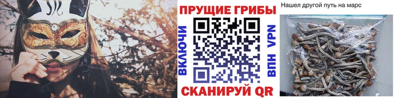 Псилоцибиновые грибы Magic Shrooms  Котлас 