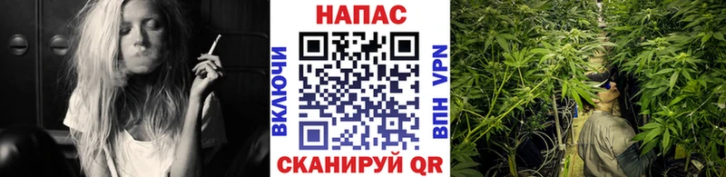 Каннабис ГИДРОПОН  маркетплейс наркотические препараты  Котлас 